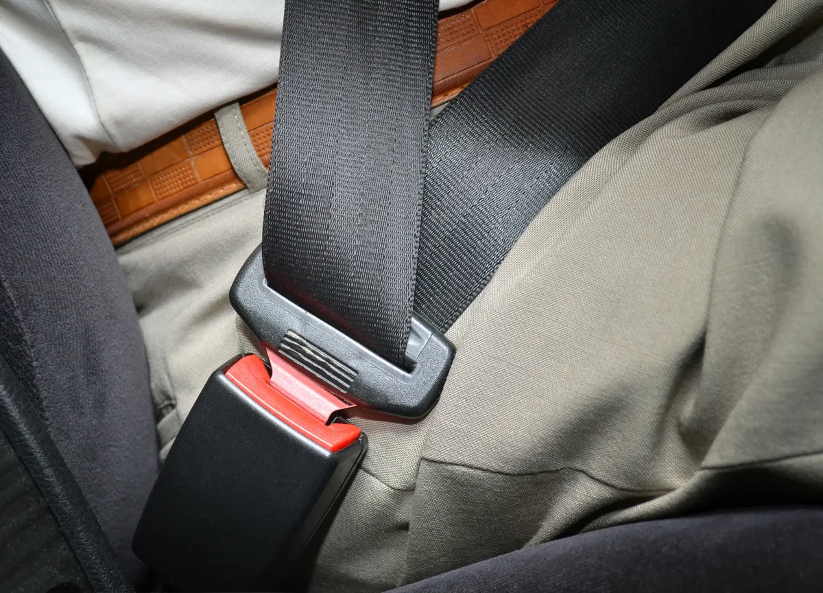 Lap section of a fastened seat belt lying flat across a seated occupant